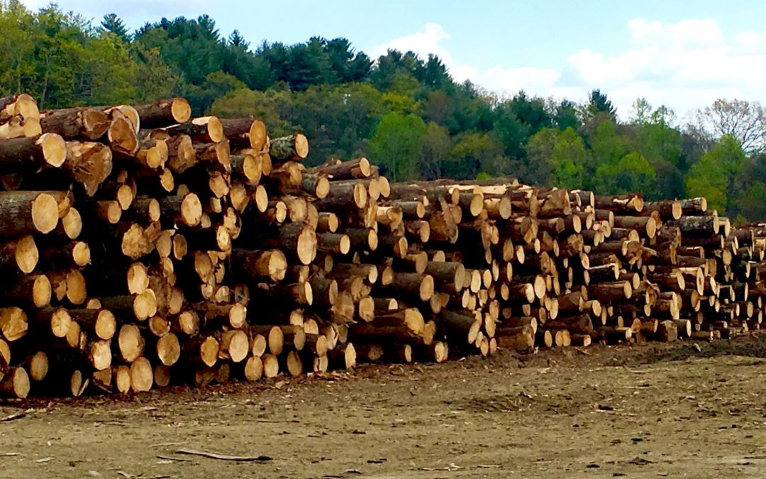 Three Twenty-One Completes Sale of Independence Lumber Sawmills